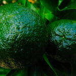 HerbaTherapy-Bergamott-illoolaj-–-Citrus-bergamia-2