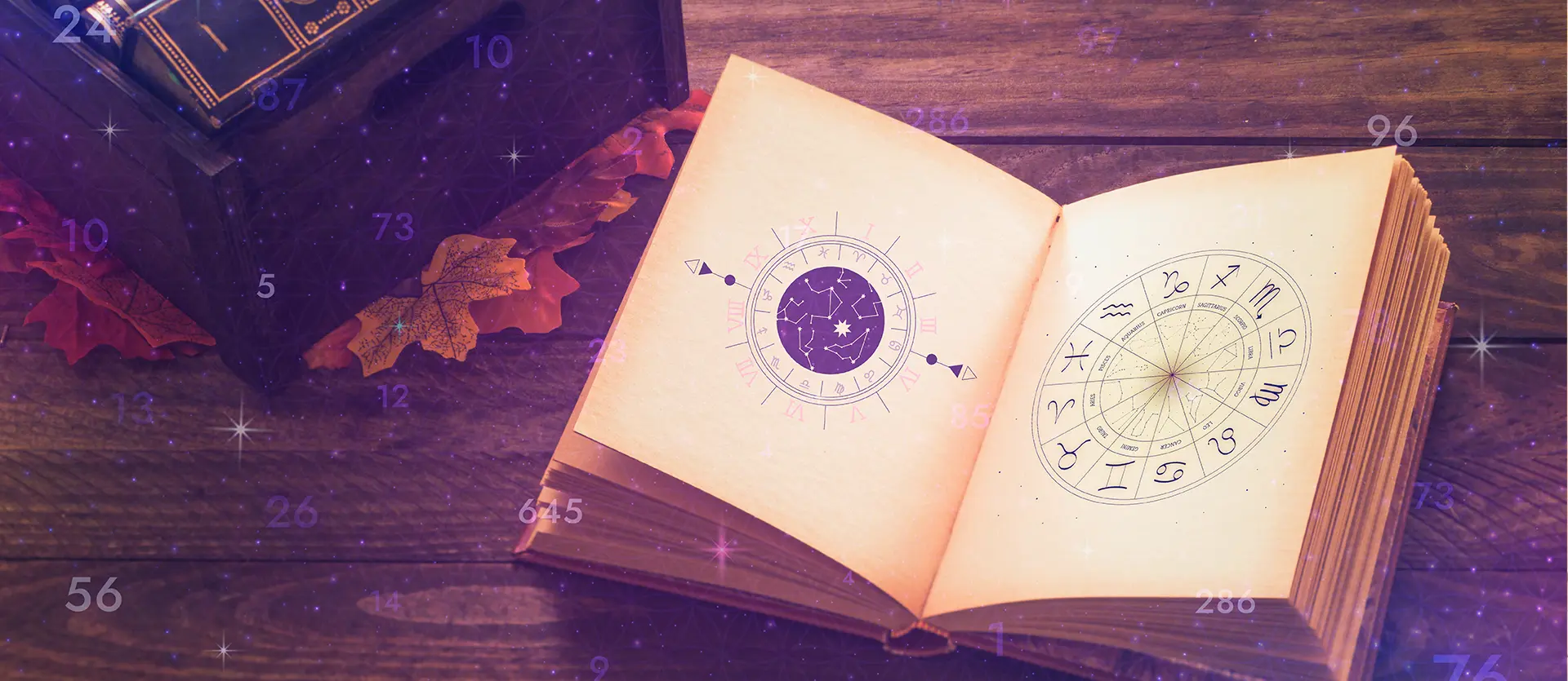 Üdvözlünk a Kamala Mozgás- és Életmódközpont honlapján!