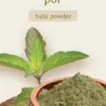 biomenu-bio-tulsi-por-125-g (2)